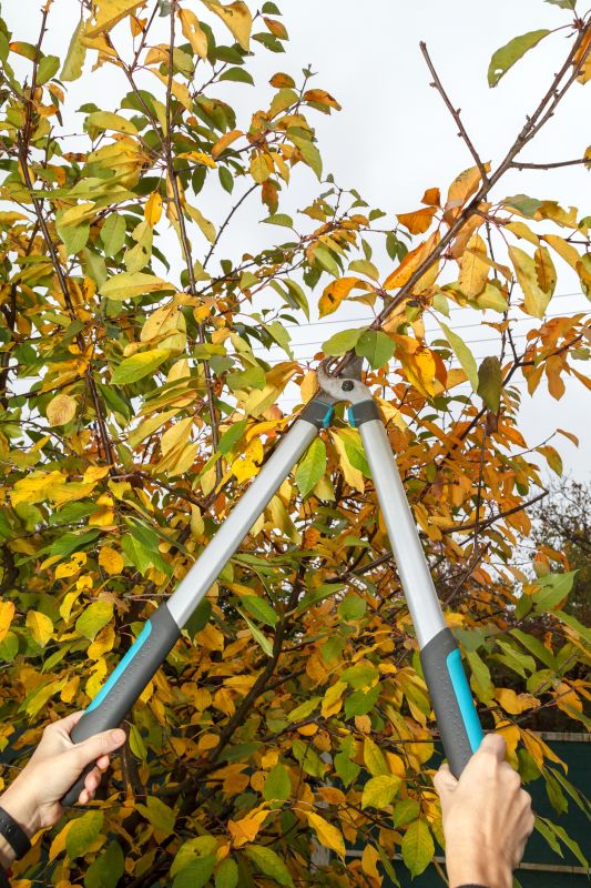 Pruning Equipment in Use