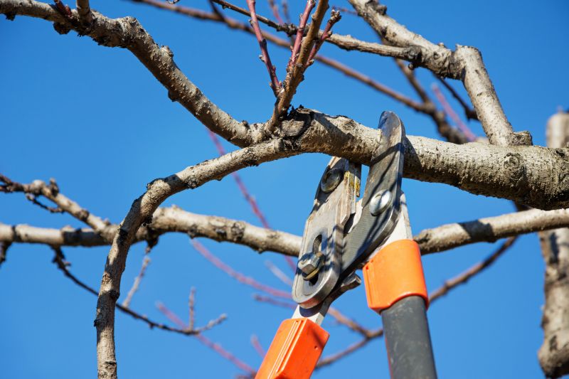 Pruning Equipment