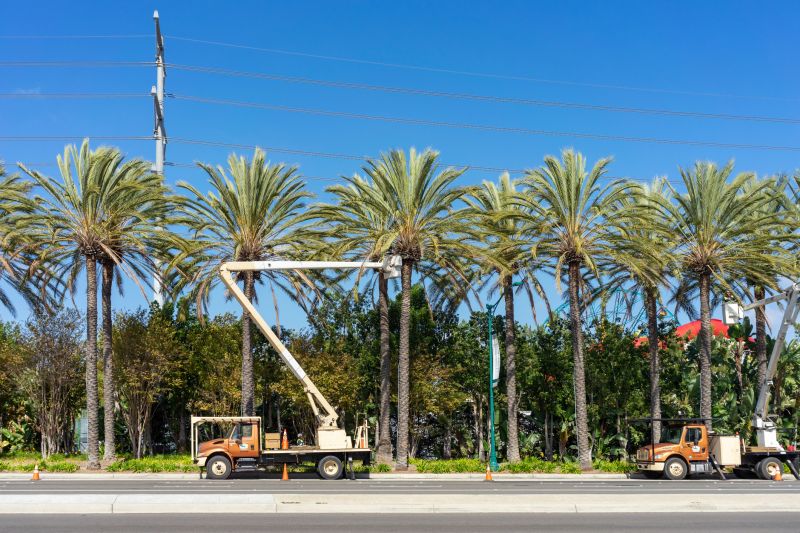 Accessibility and Location