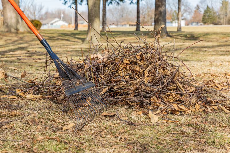 Leaf Pile Collection