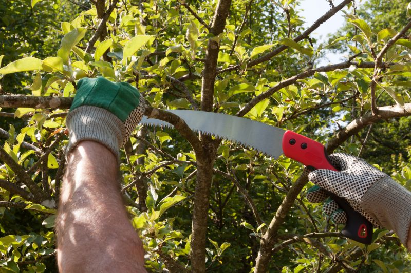 Winter Pruning Benefits